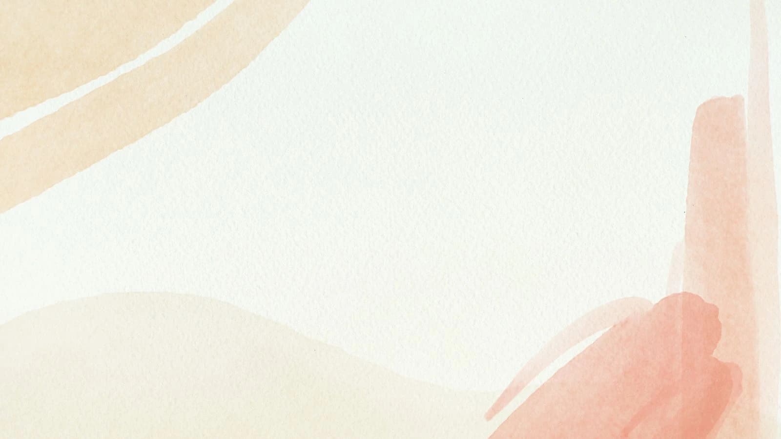 Webflow Starter Site